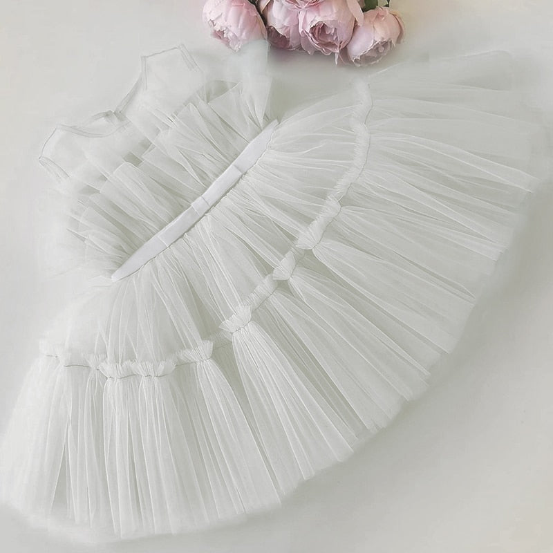 Mesh Birthday Dress