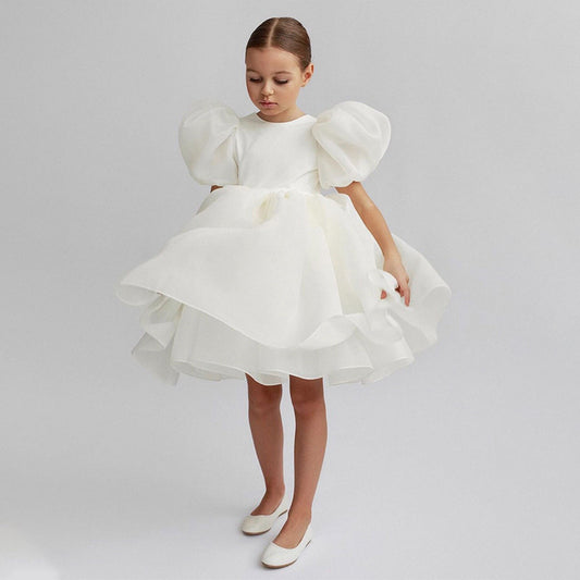 Puff Sleeve Party Dress