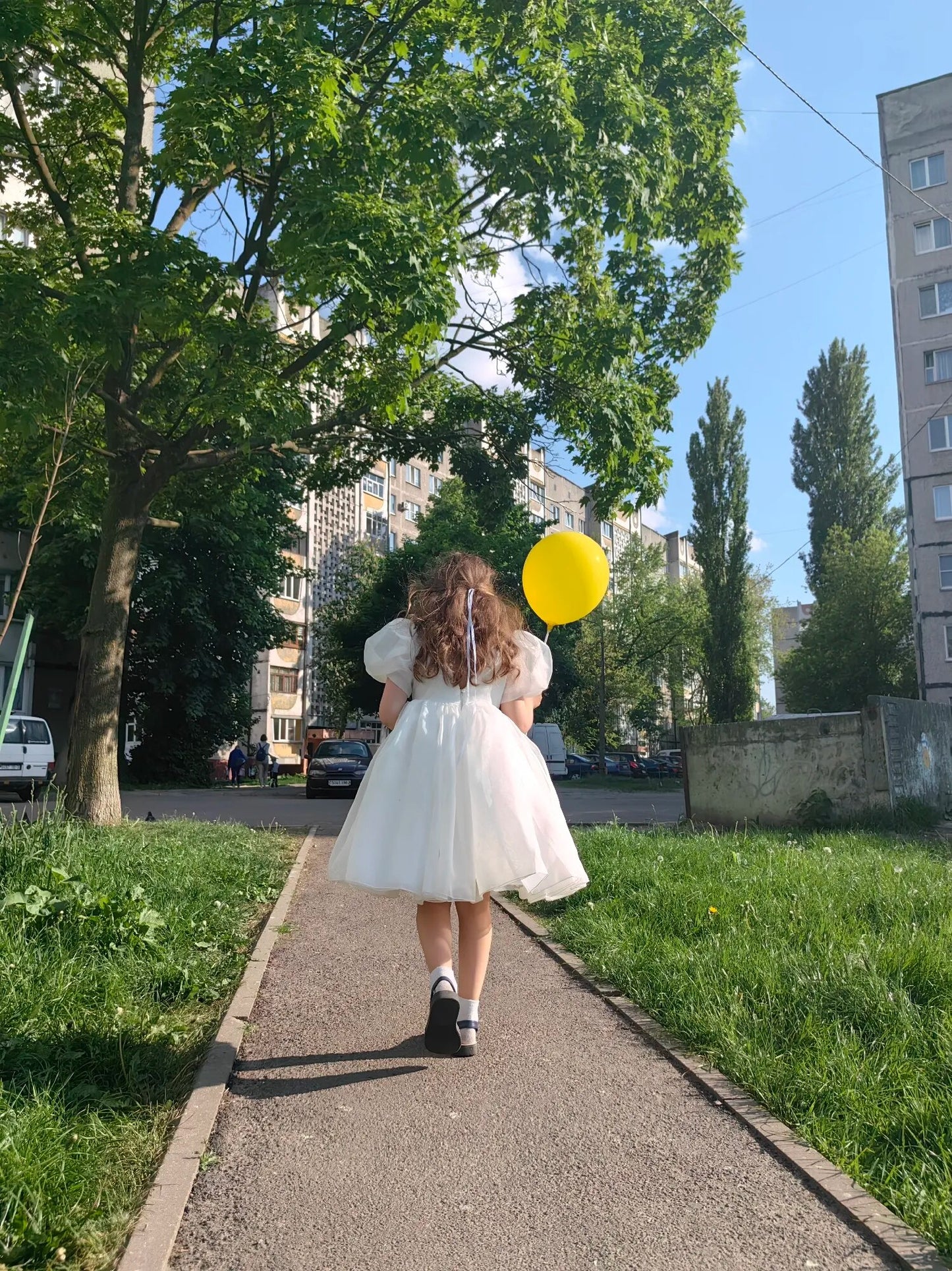 Puff Sleeve Party Dress