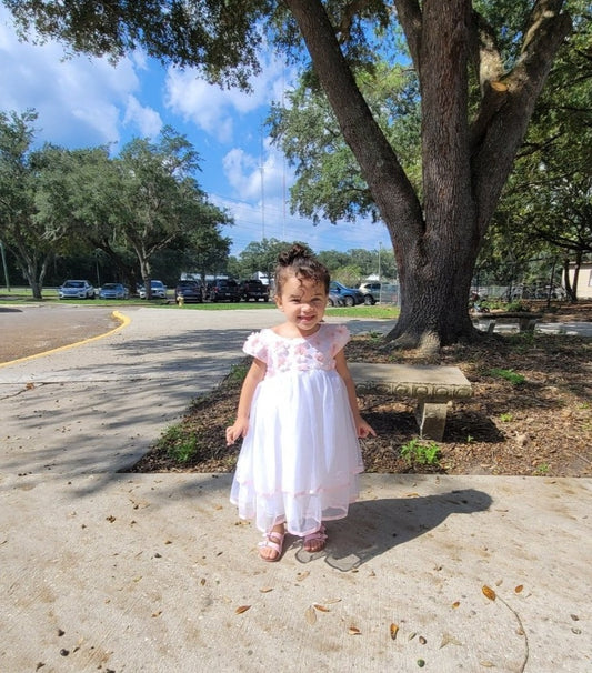 Princess Dress