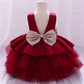 Ball Gown Princess Glitter Bow Dress