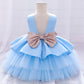 Ball Gown Princess Glitter Bow Dress