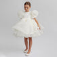 Puff Sleeve Party Dress